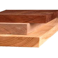 Sal Wood