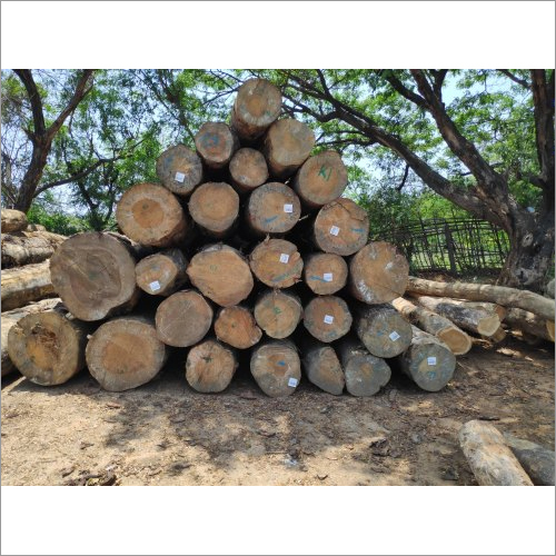 Natural Round Teak Logs