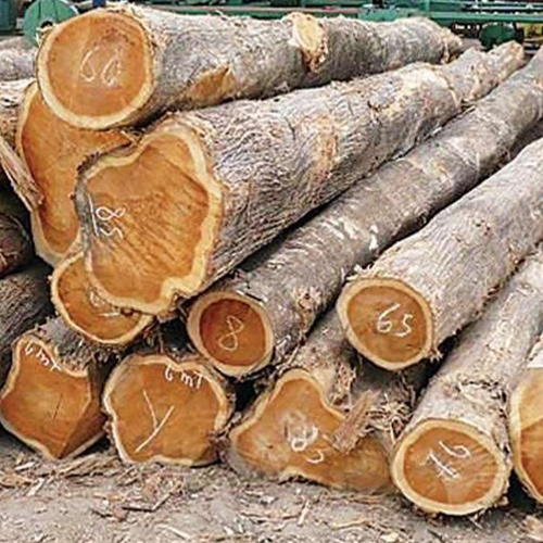 Teak Wood